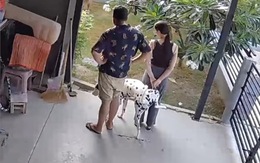Cô chủ đứng ngắm vườn bị chó tè vào chân