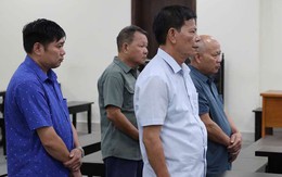 Nhóm lãnh đạo xã lãnh án vì ký 114 hồ sơ khống bán 44ha đất rừng phòng hộ