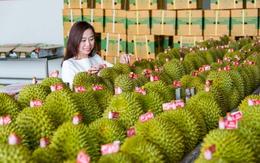 Đưa nông nghiệp Việt Nam vào top 15 thế giới năm 2030