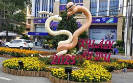 Cần Thơ dự kiến làm đường hoa nghệ thuật khoảng 6 tỉ đồng