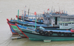 Đà Nẵng kêu gọi 659 tàu trên biển tránh áp thấp, thoát ra khỏi vùng nguy hiểm