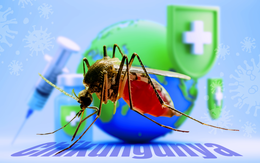 Tin tức sáng 17-8: TP.HCM đo thân nhiệt tại cửa khẩu phòng Chikungunya; Phong tỏa tài khoản SMC