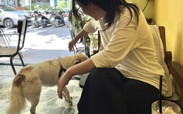 Vài năm trước dắt chó mèo theo vào quán là chuyện thường, nay sao lại khó khăn?