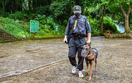 Huy động chó nghiệp vụ tìm kiếm du khách mất liên lạc ở Vườn quốc gia Cúc Phương