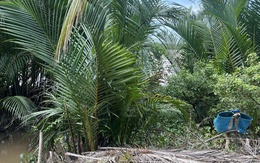 Phát hiện xác chết khi giăng lưới bắt cá trên sông Cửa Tiểu