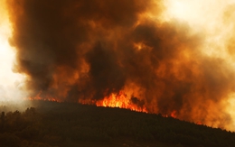 Nhật Bản: Hỏa hoạn lớn nhất 50 năm qua, càn quét 170 công trình