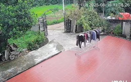 Sào phơi đồ bỏ đi vì 'giận dỗi' chủ nhà