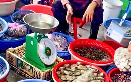 Đoàn kiểm tra nói gì về việc ‘cân gian, cân thiếu’ tại chợ Đồng Hới?