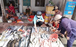 Hiểu sai vitamin B12 có thể gây ung thư nên 'trốn tránh' mặc kệ suy kiệt