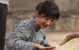 Sinh vạn vật hơn 10.000 điểm nhiệt độ, diễn xuất của Dương Mịch vẫn gây chia rẽ