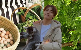 Mã Thiên Vũ độc thân tuổi 39: Nuôi 400 con gà, mỗi ngày thu 100 trứng