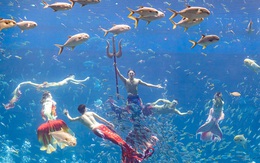 Trọn bộ trải nghiệm độc nhất biến Phú Quốc trở thành điểm đến nhất định phải thử mùa hè này