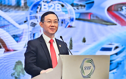 Ra mắt nền tảng thương mại điện tử cho doanh nghiệp Việt Nam và Singapore