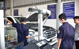 TP.HCM kiến nghị Cục Đăng kiểm chia sẻ dữ liệu để quản lý sau sáp nhập
