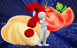 Phát hiện thú vị: Tổ tiên của khoai tây là... cà chua