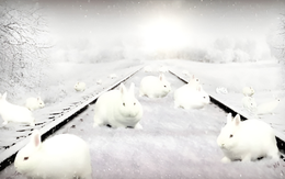 Thử tài tinh mắt: Bạn thấy bao nhiêu con thỏ trong hình?