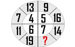 Hai câu đố kiểm tra trí thông minh của bạn