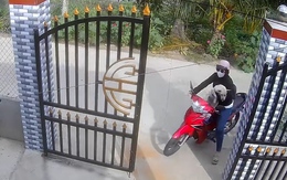 Cô chủ vui sướng khi tìm được chó cưng thất lạc hai ngày