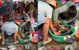 Khách hú hồn khi bị cua kẹp