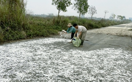 Sửa Luật Đất đai, khơi thông nguồn lực