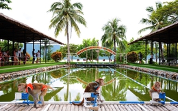 Đảo Khỉ – vịnh Nha Phu