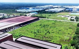 Các trường hợp nào được miễn, giảm tiền sử dụng đất, tiền thuê đất?