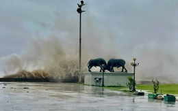 70% Biển Đông có bão trong vài ngày tới, dự báo vào thẳng vịnh Bắc Bộ