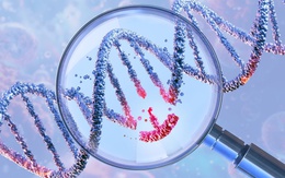 Đột phá mới trong điều trị tiểu đường tuýp 1