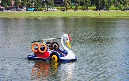 Cho kinh doanh xe đạp nước ở hồ Xuân Hương Đà Lạt trong khi chờ đấu thầu