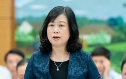 Bộ trưởng Đào Hồng Lan: 'Tỉ lệ giả có thể lên đến 50% với thuốc bán qua mạng'