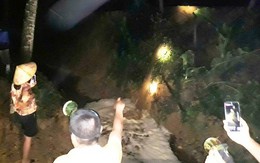 Người dân bắt quả tang trại heo lén xả thải nửa đêm