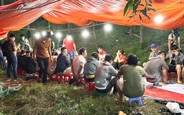 Triệt phá 'ổ' xóc đĩa giữa rừng keo, có cả xe ôm chở con bạc vào sát phạt