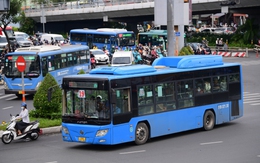 Nên có đường dành riêng cho xe buýt nhưng phải tính kỹ