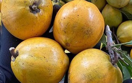 Trái lêkima - 'liều thuốc' tự nhiên rất tốt cho tim