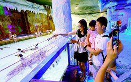 Cha mẹ im lặng trước chuyện cưới hỏi, sinh con: Thấu hiểu hay thất bại trong việc định hướng?