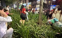 Luống cây bị giẫm nát, rác xả bừa bãi sau khi xem hợp luyện diễu binh, diễu hành