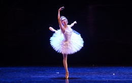 Sức hút ballet Hồ thiên nga