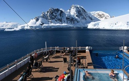 Du lịch và nghiên cứu khoa học đe dọa hệ sinh thái Nam Cực