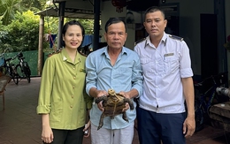 Sau 2 tháng nuôi nhốt, người dân giao nộp rùa quý hiếm bò vào vườn nhà
