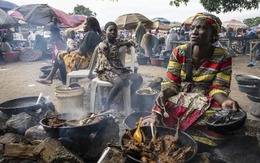 Người Nigeria ăn thịt thú rừng ngày càng nhiều khiến bác sĩ lo ngại nguy cơ dịch bệnh