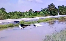 Bắt thanh niên Thái Lan dàn dựng 4 vụ tai nạn ô tô trục lợi bảo hiểm khoảng 811 triệu đồng