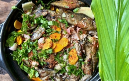 Sau bão, dân Quảng Trị đổ ra đồng bắt cá