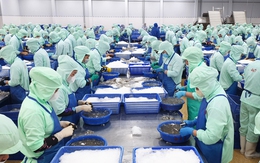 Cà Mau từ truyền thống Nam Bộ thành đồng đến cực tăng trưởng xanh