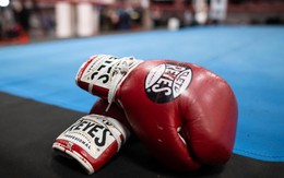 Nhật Bản cân nhắc cấm quyền anh