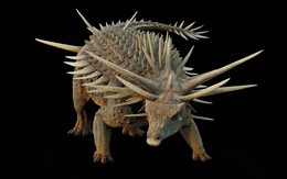 Phát hiện hóa thạch khủng long 'dị biệt' nhất lịch sử