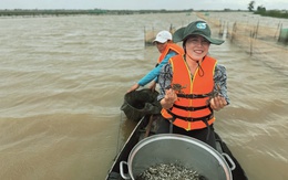 Trải nghiệm mùa nước nổi Đồng Tháp: Du khách ra đồng đổ dớn, hái bông điên điển, ngắm đồng sen