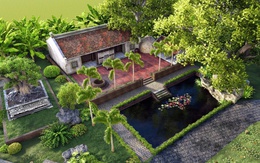 Bill Nguyễn bonsai: Nơi lưu giữ cây quen thuộc lâu năm