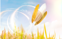 Lợi thế giúp người Việt tiếp cận dầu gạo lứt tốt với giá tốt