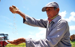 VTV dịp 2-9 có gì?