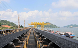 TKV vượt bão, giữ nhịp tăng trưởng